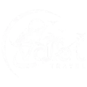 White logo for Valet Travel Agency featuring a modern design that symbolizes exploration and adventure in travel.